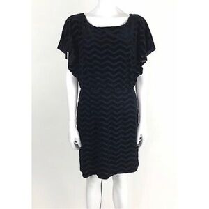 WHBM Size S Velvet Burnout Chevron Stripe Dress
